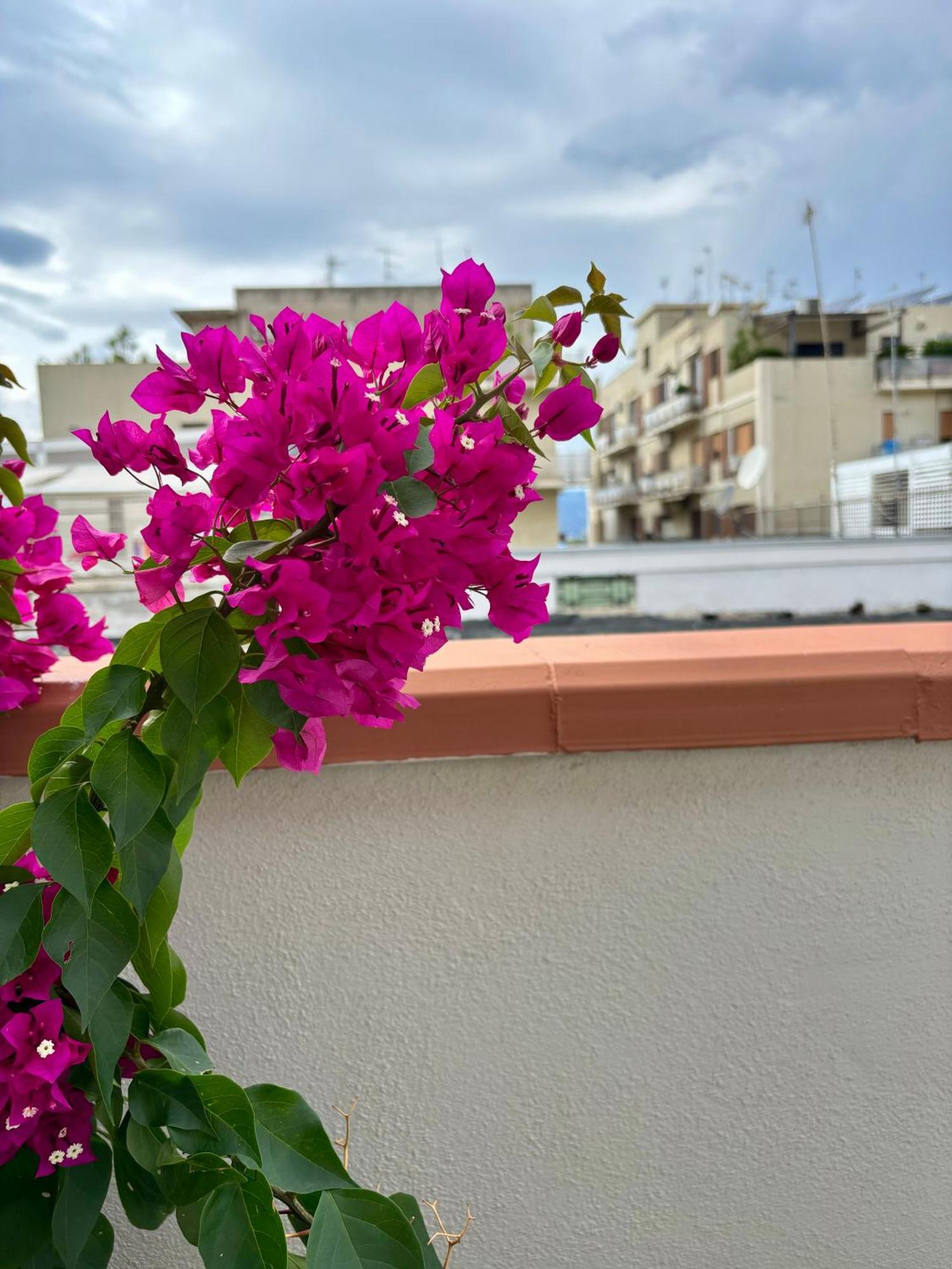 Strettomare-Business & Travel Apartment ريجّو دي كالابريا المظهر الخارجي الصورة